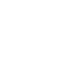 Sport Icon